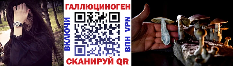 Галлюциногенные грибы Psilocybe  цена   Гусиноозёрск 