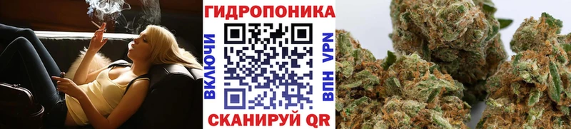 Конопля OG Kush  купить закладку  Гусиноозёрск 